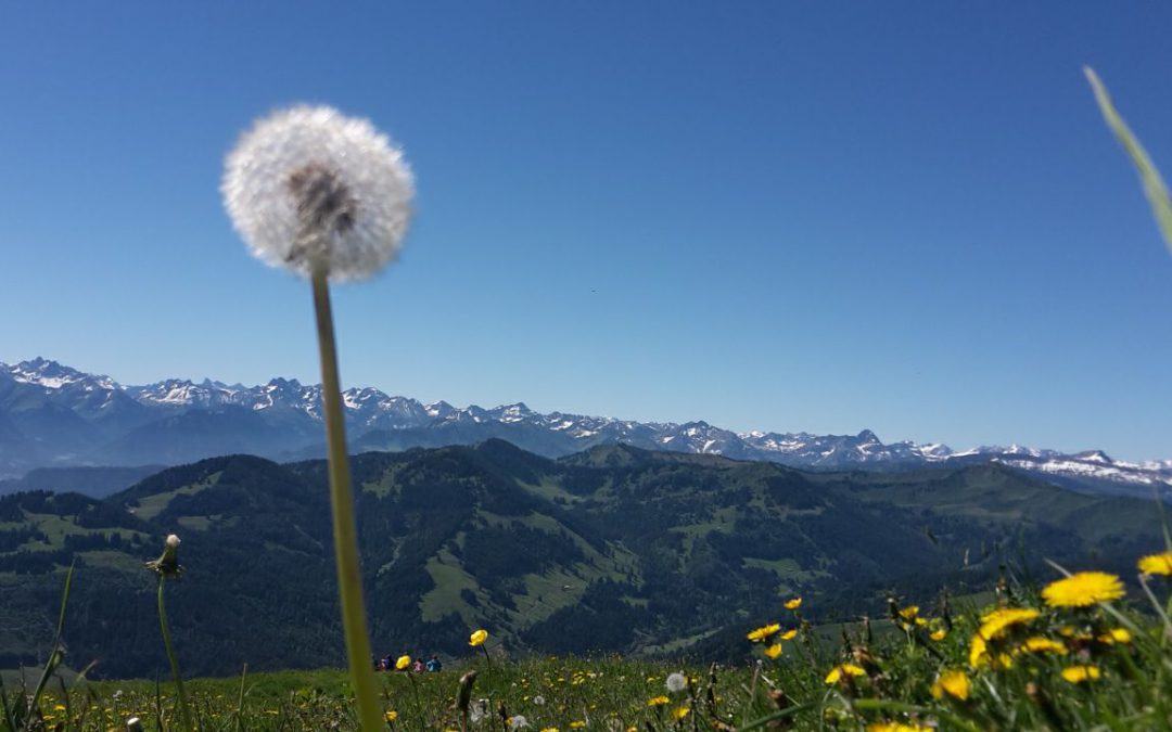 Yoga am Berg – Natur pur!